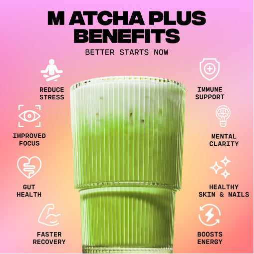 30-servings-of-mushroom-matcha-free-starter-kit-p2 1_e8b56491-7cb2-472e-ac2c-4f42e819f02f.jpg