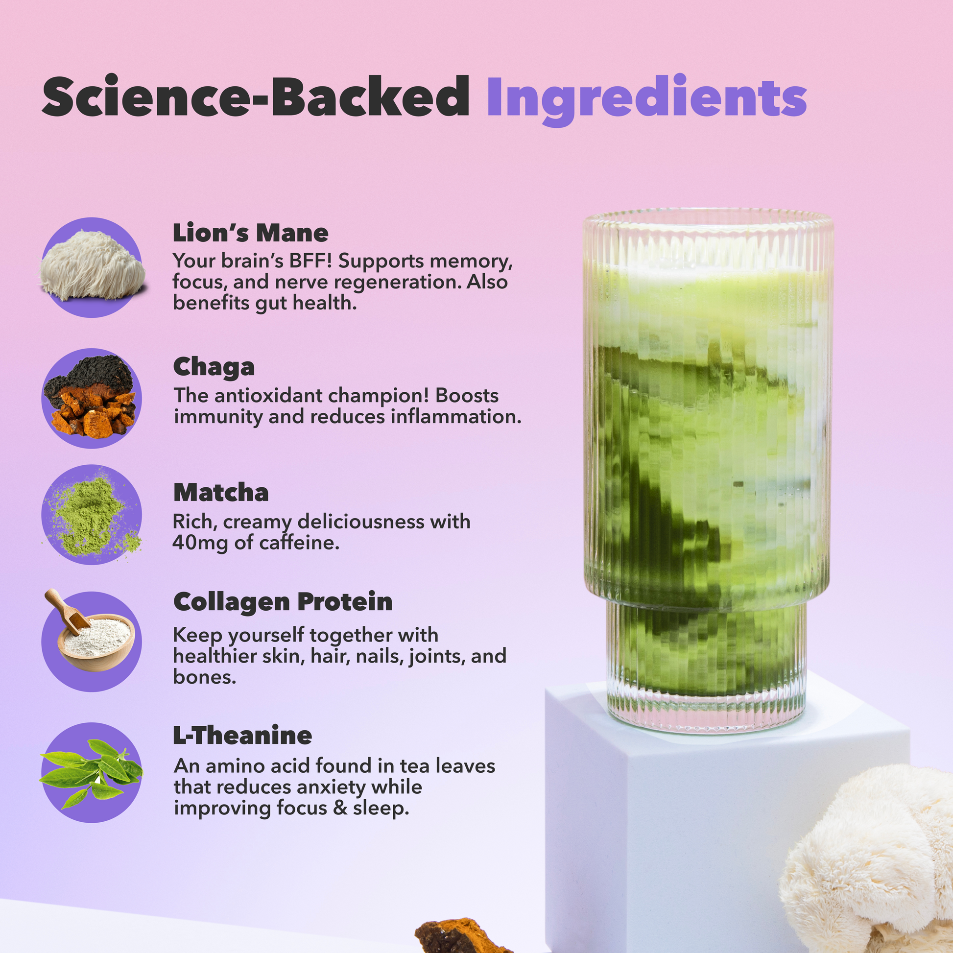 90-servings-matcha-free-starter-kit-n6 custom_resized_386f63f8-0691-449c-9e51-462fed6c0033.png